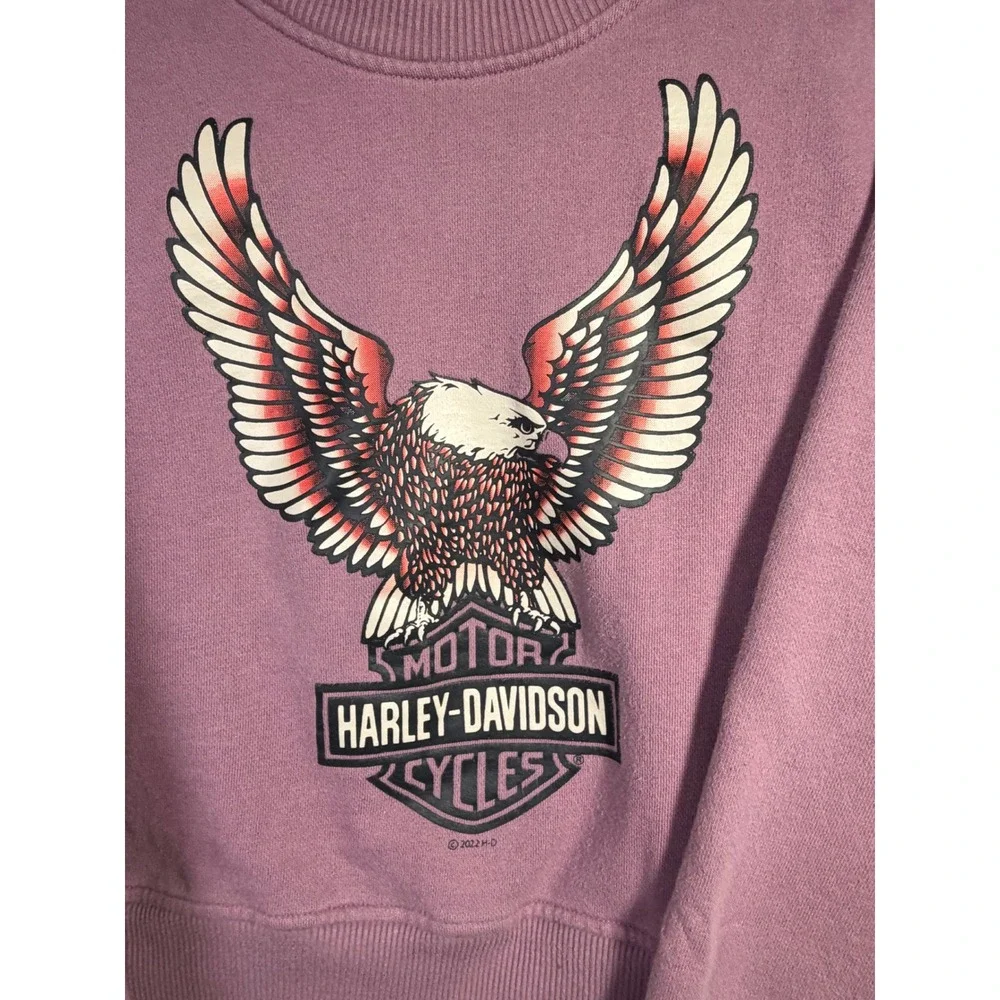 Harley-Davidson Sweatshirt Kids 10/12 Purple Excellent Eagle Graphic Pullover